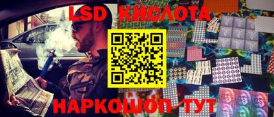 тгк Бердск