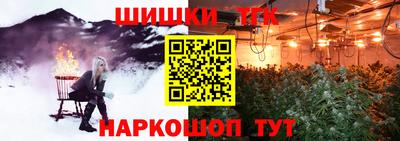 тгк Бердск