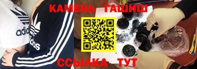тгк Бердск