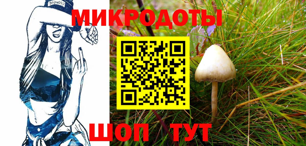 Псилоцибиновые грибы Cubensis Кызыл