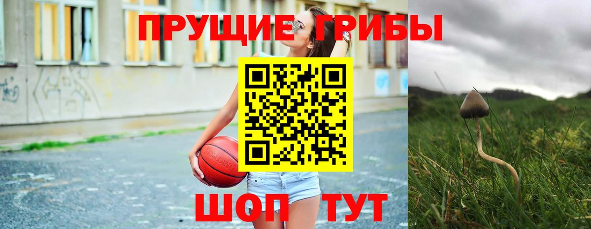 Галлюциногенные грибы Magic Shrooms  Вход с VPN  Кызыл 
